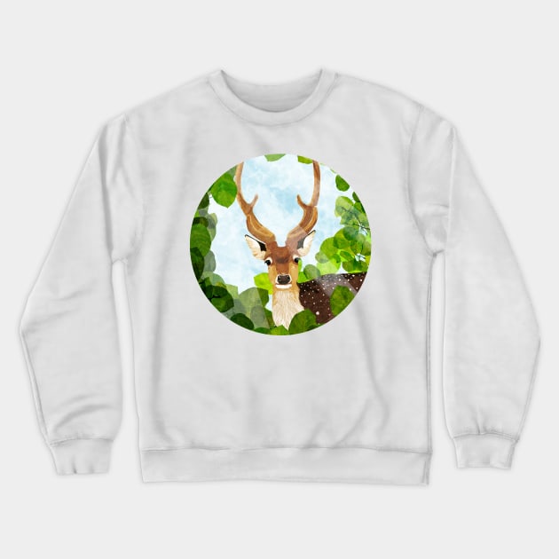 fallow deer Crewneck Sweatshirt by KatherineBlowerDesigns